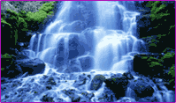 peace-img
